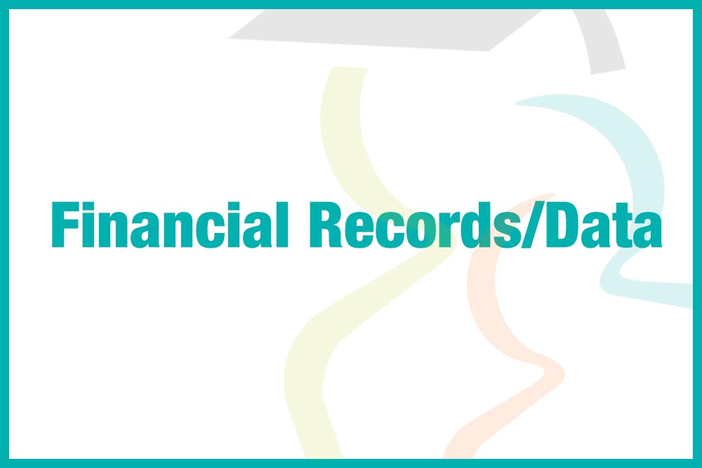 Financial Records/Data icon