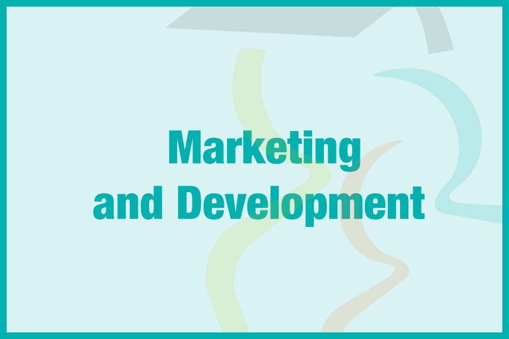 Marketing and Development icon