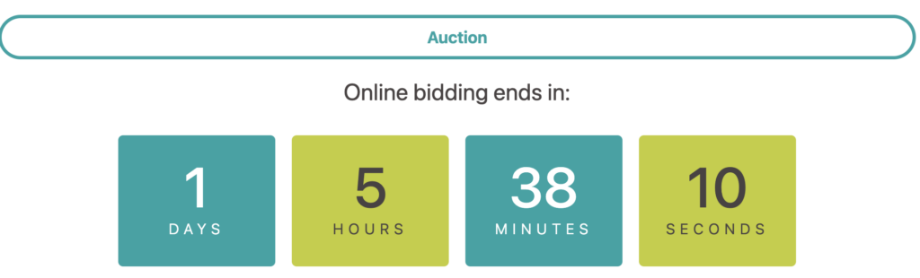 Silent Auction Ending Soon